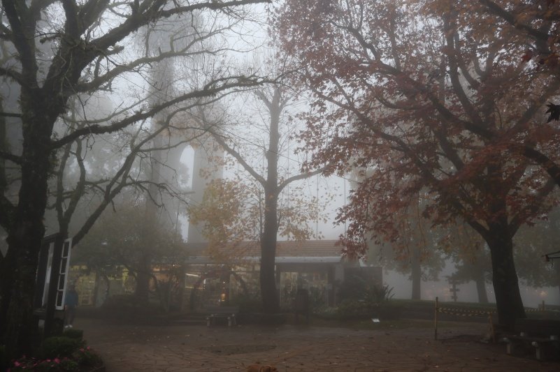Semana começa com temperaturas negativas e atrações culturais em Nova Petrópolis